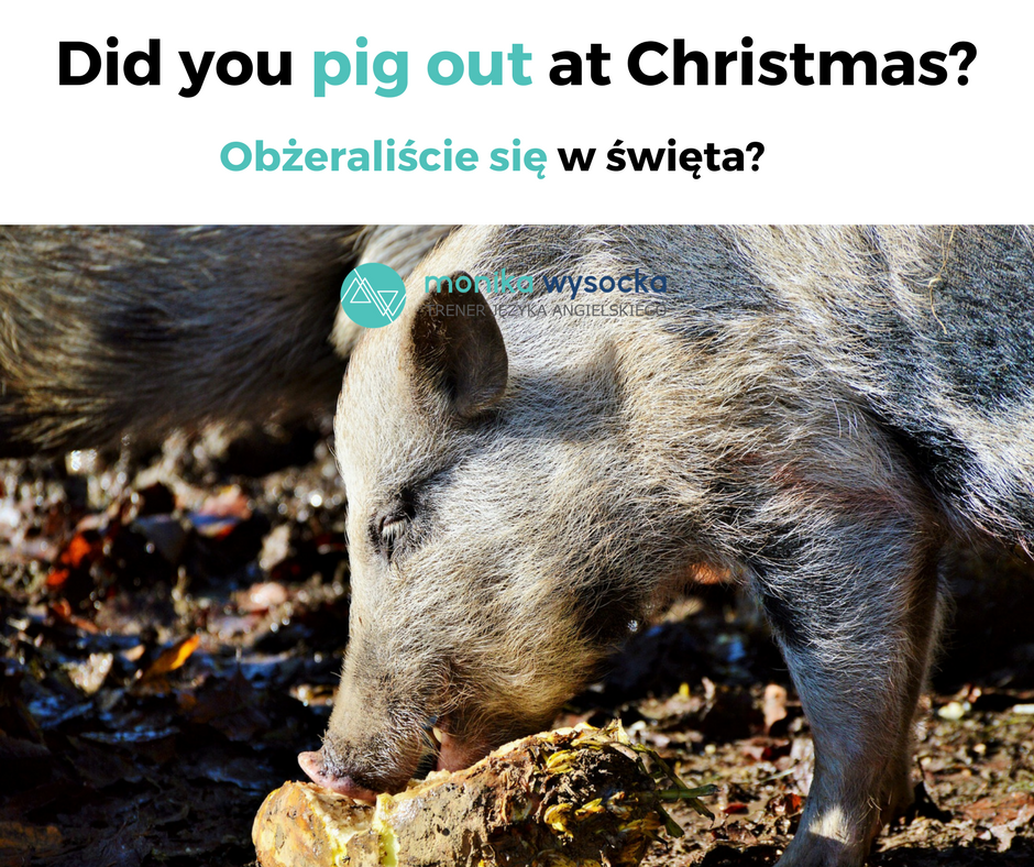 Pig out at Christmas. 