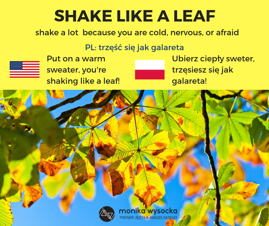 shake like a leaf