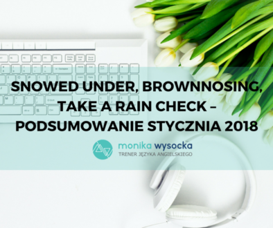 Snowed under, brownnosing, take a rain check - podsumowanie stycznia 2018.